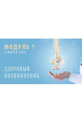 Спина: Модуль 1. Здоровый позвоночник. Юлия Грошева Yulia.Stretch