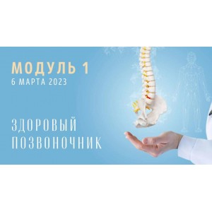 Спина: Модуль 1. Здоровый позвоночник. Юлия Грошева Yulia.Stretch Спина: Модуль 1. Здоровый позвоночник. Юлия Грошева Yulia.Stretch