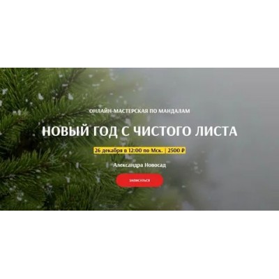 Новый год с чистого листа. Александра Новосад