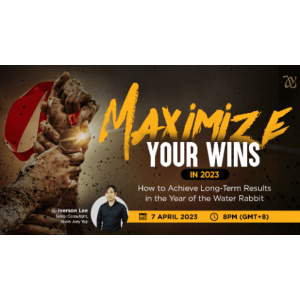 Максимизация побед 2023. Айверсон Ли Joey Yap Academy