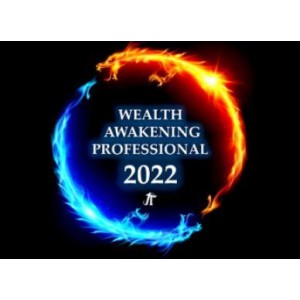 Пробуждение богатства 2022. Wealth Awakening Professional 2022. Show & Tell Пробуждение богатства 2022. Wealth Awakening Professional 2022. Show & Tell
