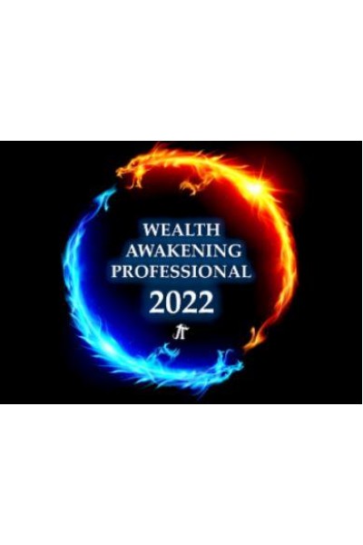 Пробуждение богатства 2022. Wealth Awakening Professional 2022. Show & Tell