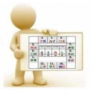 Выпуск 1. Анализируем 12 Дворцов судьбы. Юлия Бальсина