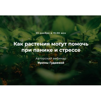 Как растения могут помочь при панике и стрессе. Ирина Гудаева