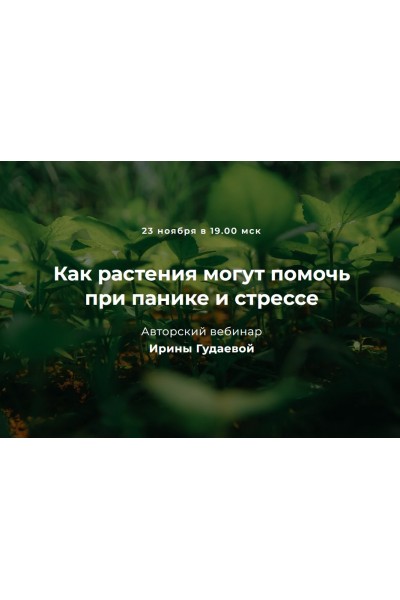 Как растения могут помочь при панике и стрессе. Ирина Гудаева