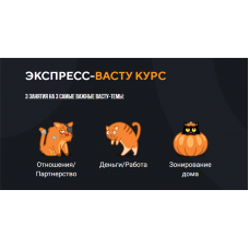 Экспресс-васту курс. Весь Васту. Юлия Морозова
