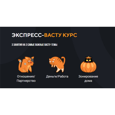 Экспресс-васту курс. Весь Васту. Юлия Морозова