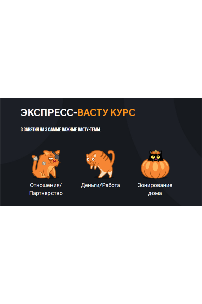 Экспресс-васту курс. Весь Васту. Юлия Морозова