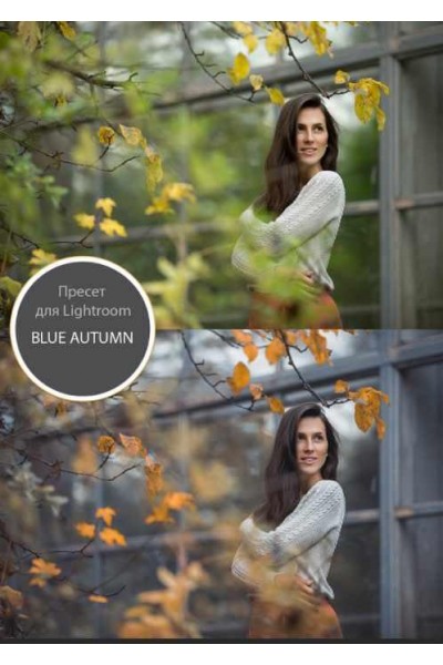 Пресет Blue Autumn. Анна Мельникова