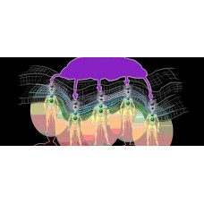 Эгрегоры: выход из матрицы. Элина Матвеева