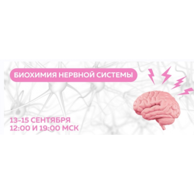 Биохимия нервной системы. Тариф Слушаю и участвую. Екатерина Веселова, Ольга Евдокимова, Олег Агапэ