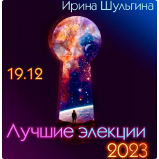 Лучшие элекции 2023. Ирина Шульгина