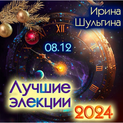 Лучшие элекции 2024. Ирина Шульгина