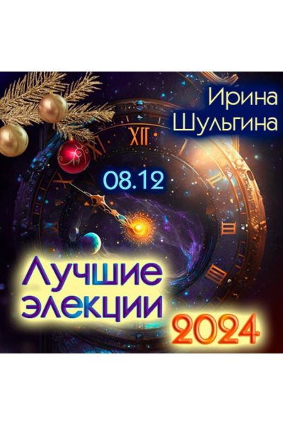 Лучшие элекции 2024. Ирина Шульгина