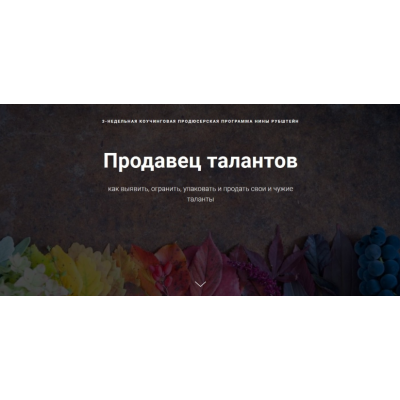 Продавец талантов как выявить, огранить, упаковать и продать свои и чужие таланты. Нина Рубштейн