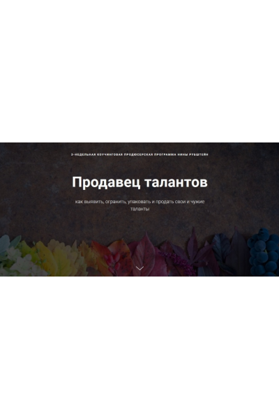 Продавец талантов как выявить, огранить, упаковать и продать свои и чужие таланты. Нина Рубштейн