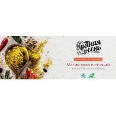 Пряная осень. Елена Богданова Awaken Game