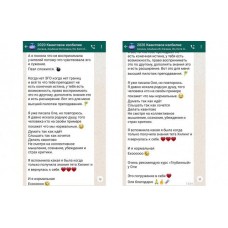 Квантовое мышление: виртуальный бизнес. Ольга Коробейникова