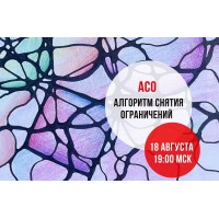 АСО-2022. Алгоритм снятия ограничений. Анна Соколова