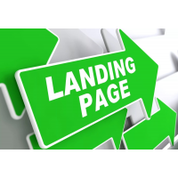 Создание продающих лендингов. Антон Михайлов, Роман Шарафутдинов FAQ Marketing