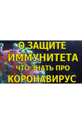 Здоровая иммунная система. Елена Бахтина