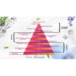 Старости нет. 8 ступень Потребительская грамотность. Елена Бахтина
