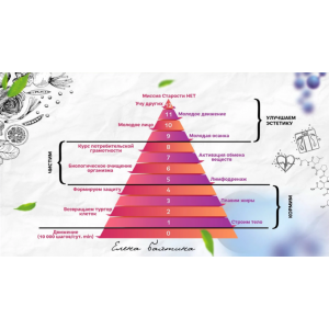 Старости нет. 12 привычек молодого человека. 2 ступень. Елена Бахтина