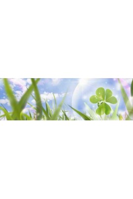 Мастер-класс по системам очищения организма. Елена Бахтина