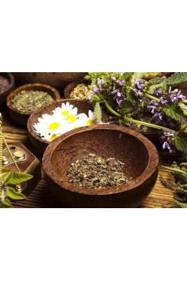 Научная магия трав. Женское исцеление силой природы. Елена Бахтина