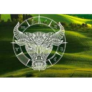 Астрология бизнеса и профессии. Евгений Волоконцев