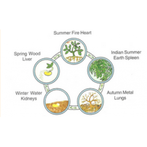 Волшебные звуки. Евгений Волоконцев  Высшая школа класической астрологии