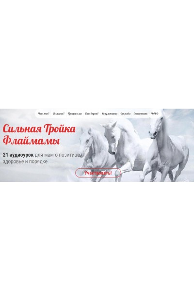 Сильная Тройка Флаймамы. Пакет Соло. Светлана Гончарова
