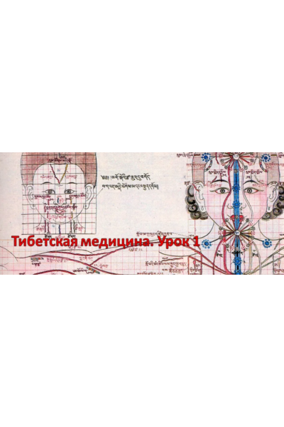 Как успокоить нервную систему через акупрессурные точки «Мандалы ветра»?. Виктор Луганский