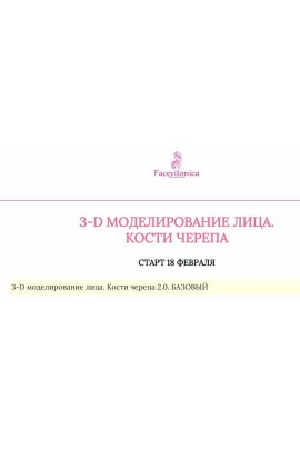 3Д Моделирование лица. Кости черепа. Инна Алферова  Facevitonica