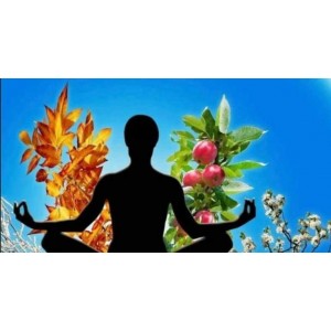 Тренинг «Карта Благополучия». Елена Гладкова