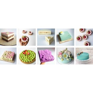 Современные муссовые торты. Пакет VIP. Александра Овешкова Cake Pro Современные муссовые торты. Пакет VIP. Александра Овешкова Cake Pro