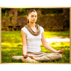 Я-Целитель. Платина. Елена Донская