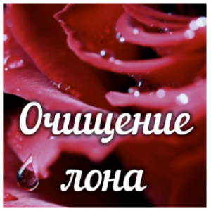 Очищение лона. Алена Полынь