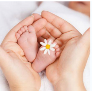 Обретение материнства. Алена Полынь