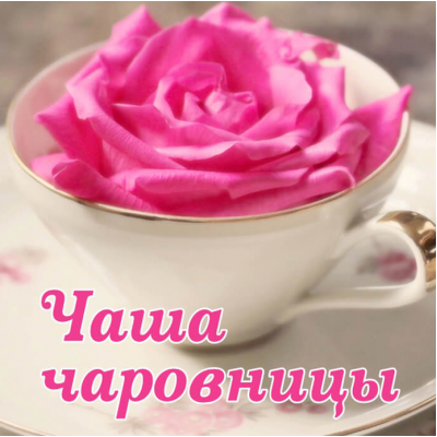 Чаша чаровницы. Алёна Полынь Магия АП 147