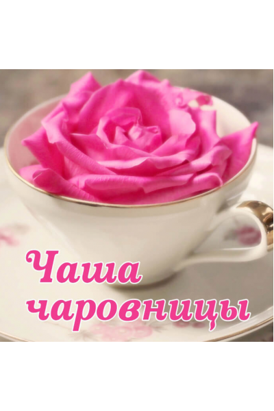 Чаша чаровницы. Алёна Полынь Магия АП 147