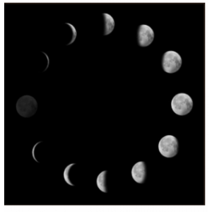 12 Лун. Колдовство Лунное. Алена Полынь