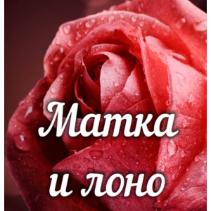 Матка и лоно. Практика. Алёна Полынь