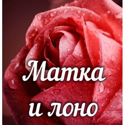 Матка и лоно. Практика. Алёна Полынь