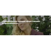 Эмоционально-волевая сфера глазами нейропсихолога. Анна Полищук Дети готовые к будущему