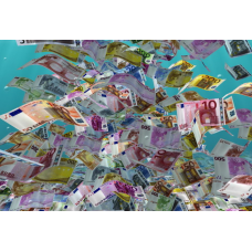 Меняю бедность на богатство - 4. Светлана Кулешова