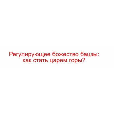 Регулирующее божество бацзы: как стать царем горы?. Владимир Захаров