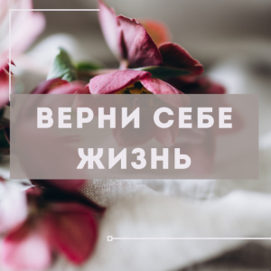 Стань денежным магнитом. Алекса Оник