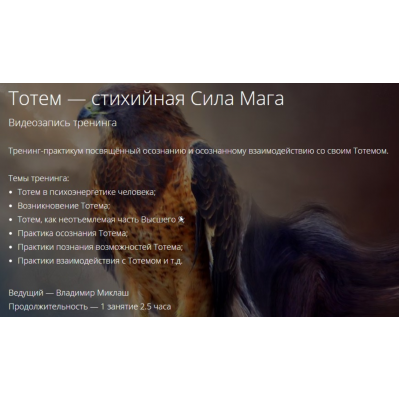 Тотем-Стихийная сила мага. Владимир Миклаш