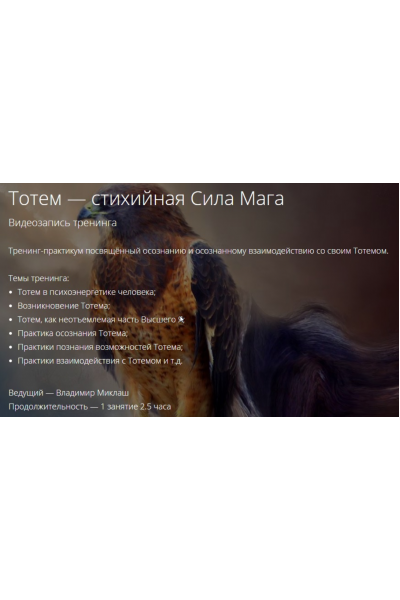 Тотем-Стихийная сила мага. Владимир Миклаш
